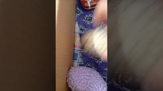 я с хомеком