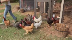 Наши веселые выходные. Эгине. ASMR