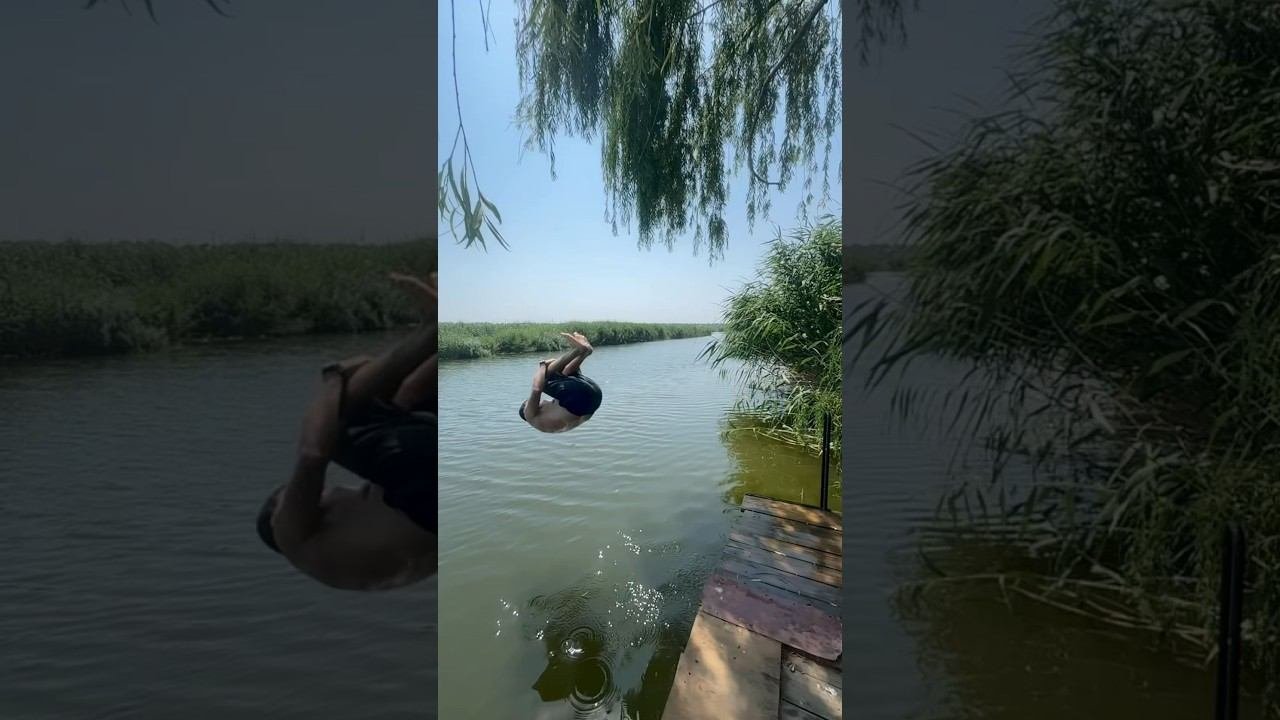 Все виды прыжков в воду