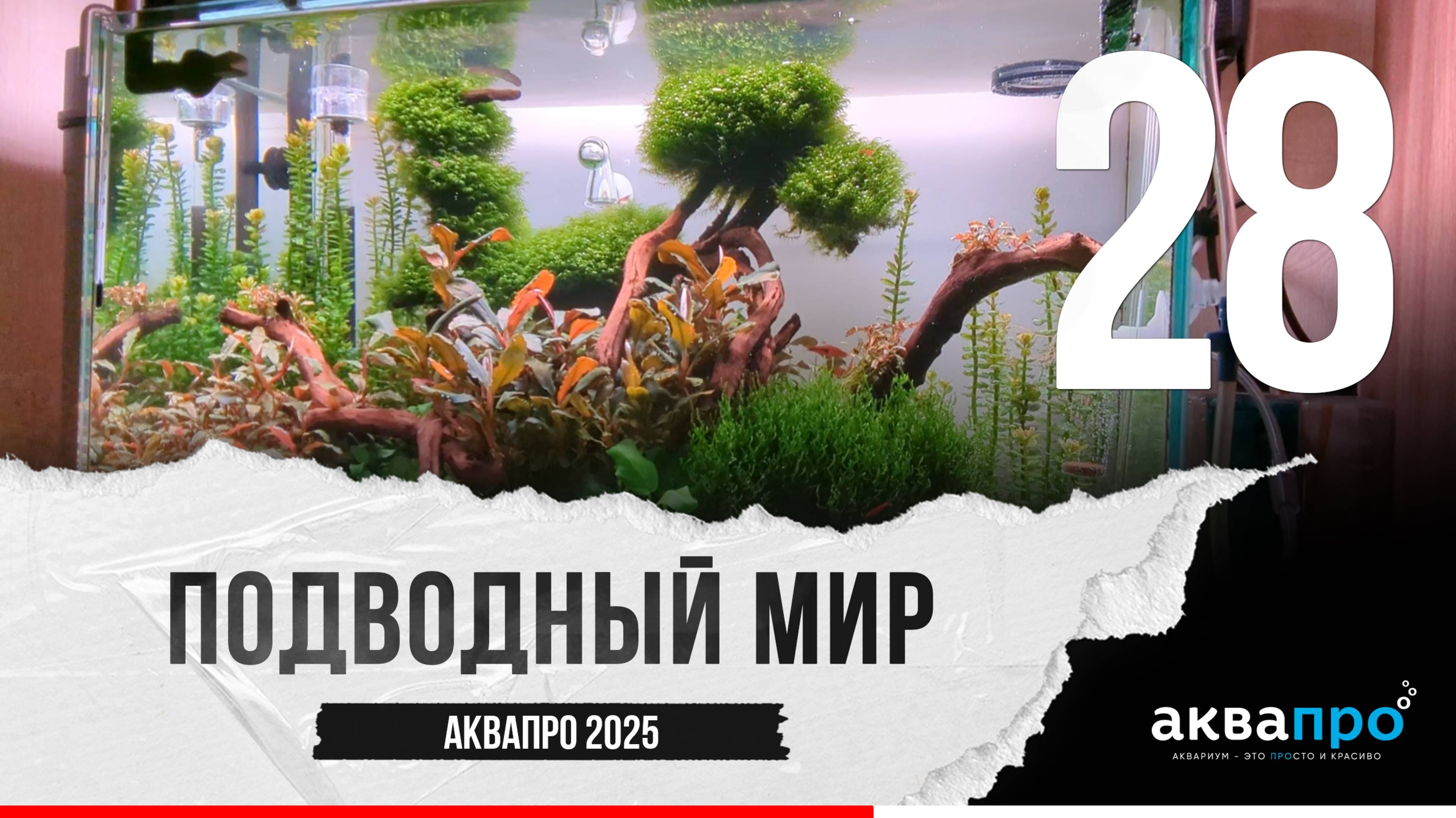 28. Подводный мир. #АкваПро