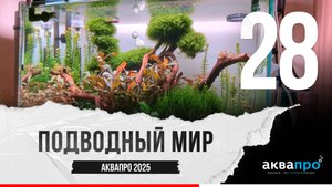 28. Подводный мир. #АкваПро