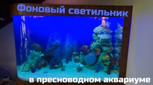ФОНОВЫЙ светильник пресноводного АКВАРИУМА  #аквадизайн  #аквариум  #оформлениеаквариума #aquarium