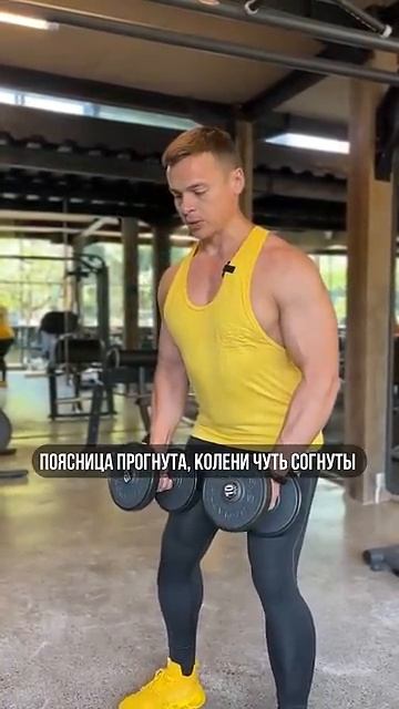 УПРАЖНЕНИЙ С ГАНТЕЛЯМИ 💪🏼 КАК НАКАЧАТЬ ПЛЕЧИ ГАНТЕЛЯМИ 💪🏼 ДЛЯ ДОМА И ЗАЛА.Все в твоих руках 🤜