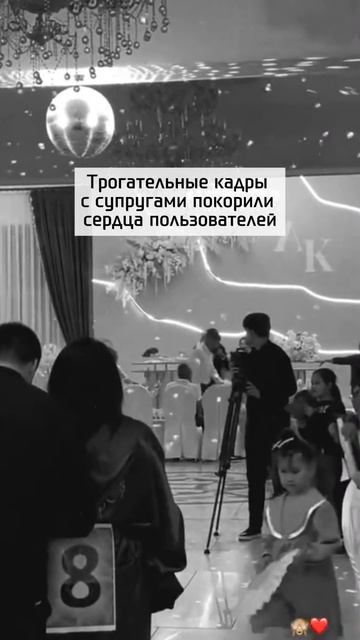 Трогательные кадры