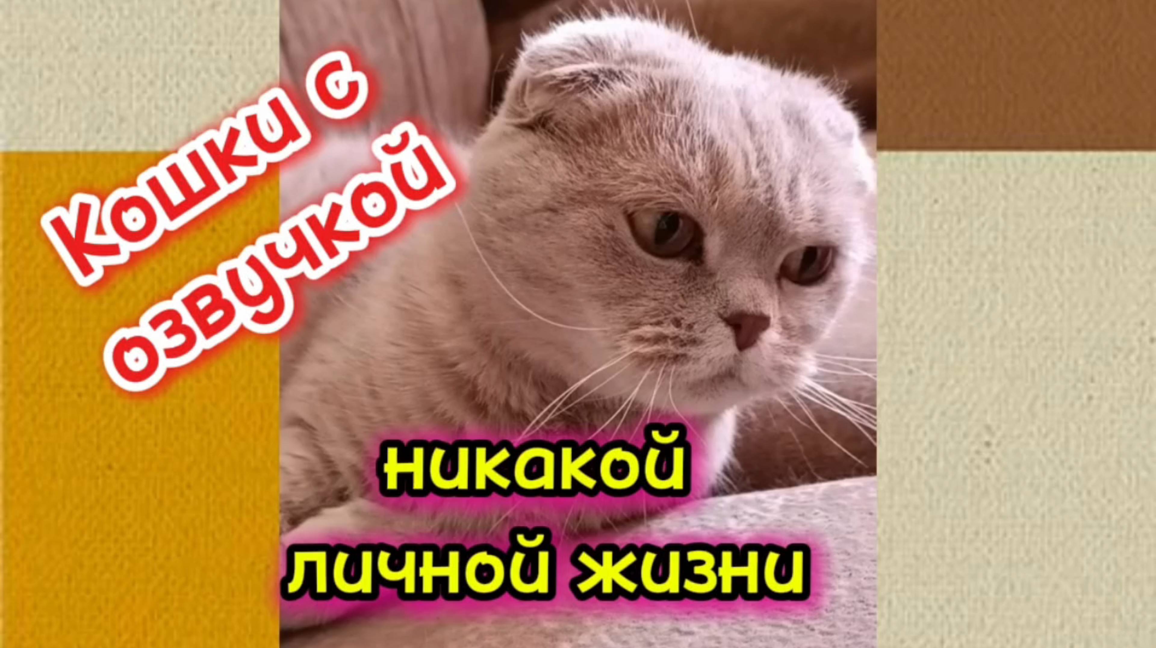 Кошки с озвучкой.