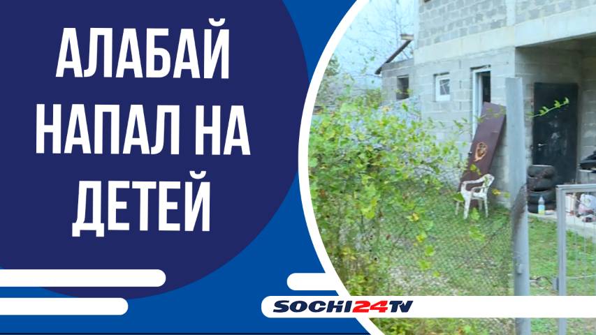 В селе Измайловка, среднеазиатская овчарка напала на детей