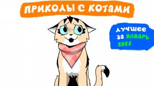 Приколы с котами. ЛУЧШЕЕ ЗА ЯНВАРЬ 2025 | Мемозг