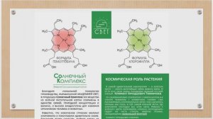 Академия Свет. Презентация Зеленой Клетки Солнечный Комплекс