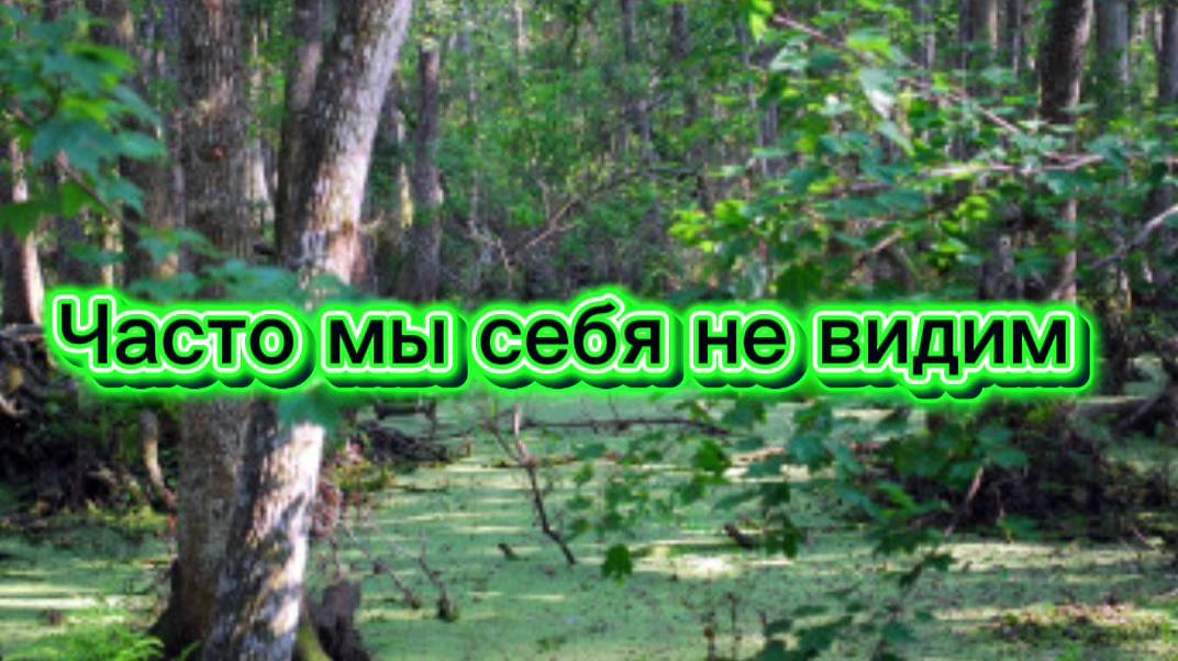 Часто мы себя не видим