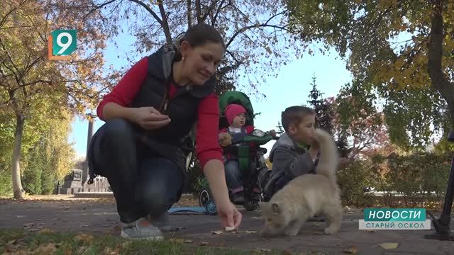 Сегодня во всем мире отмечают День психического здоровья