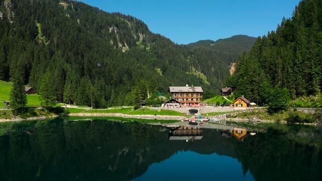 Дикая природа 4К 8К Full HD