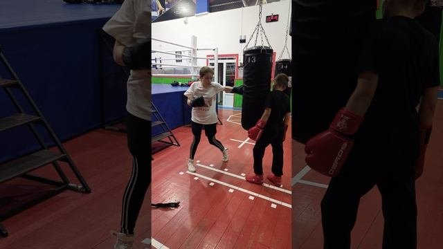 09-10-2025 бокс каждый день