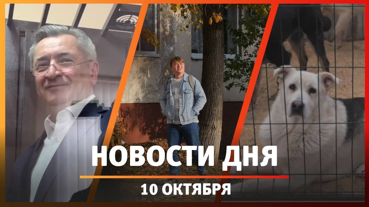 Новости Уфы и Башкирии 10.10.25: чиновник в суде, неадекватный уфимец и экосистема для дома