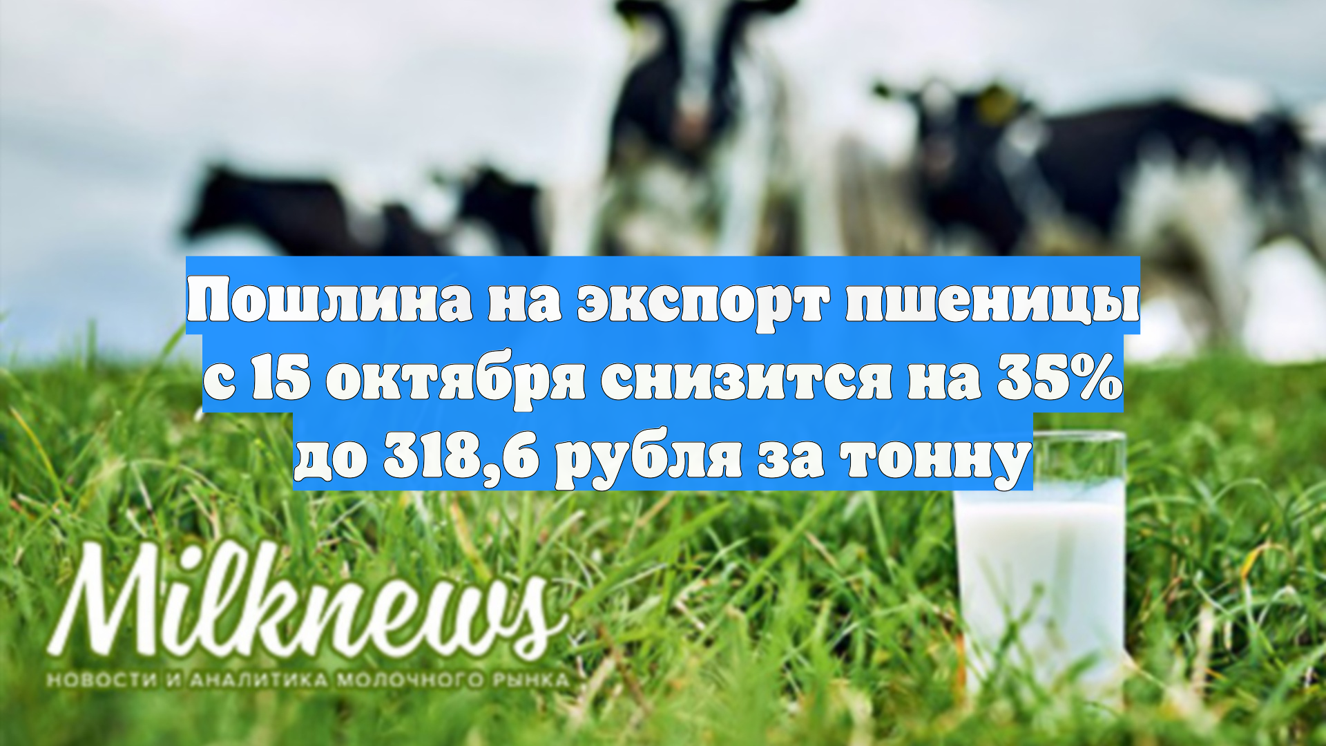 Пошлина на экспорт пшеницы с 15 октября снизится на 35% до 318,6 рубля за тонну