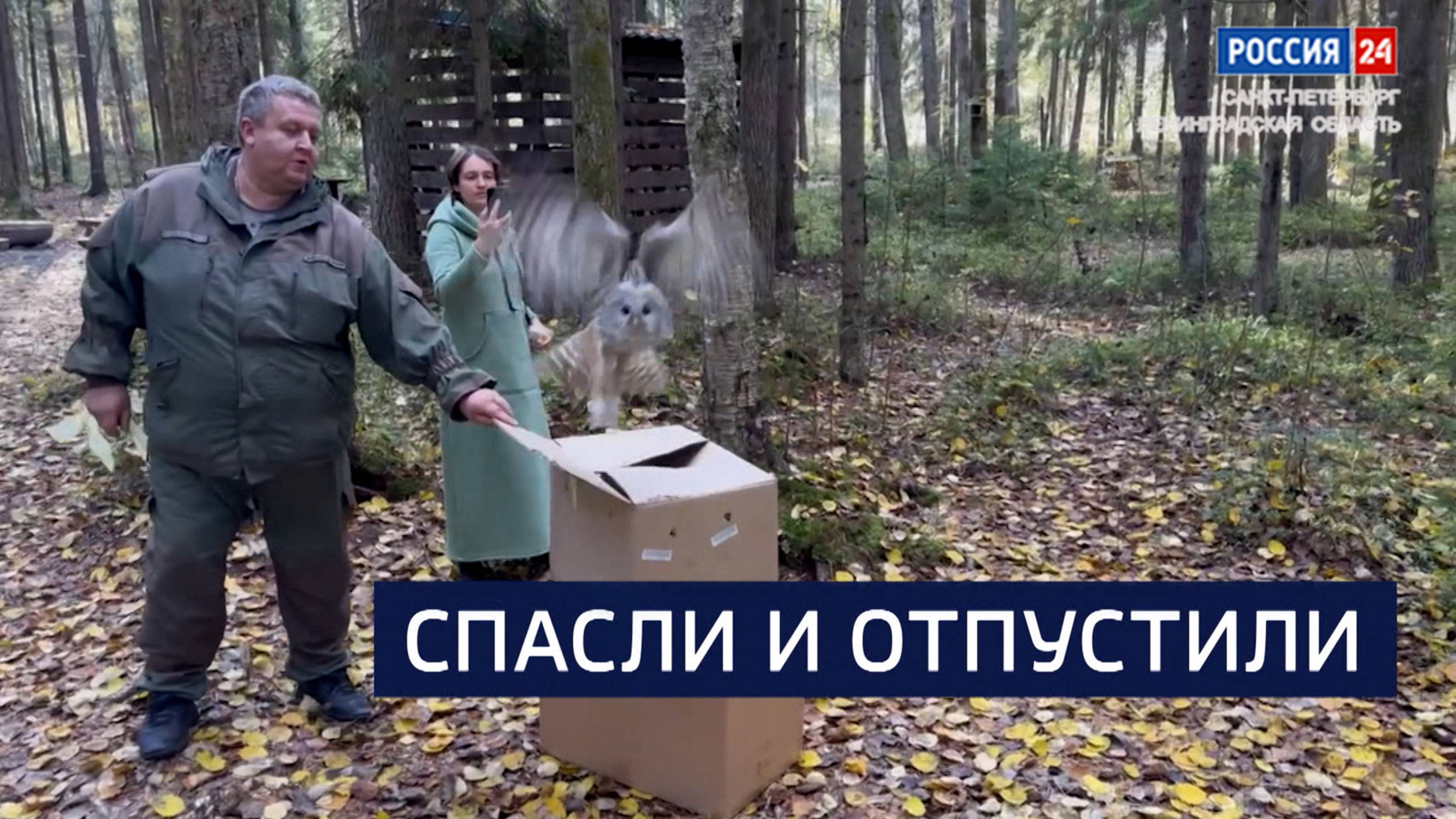 ВЕСТИ 24 Санкт-Петербург от 10.10.2025