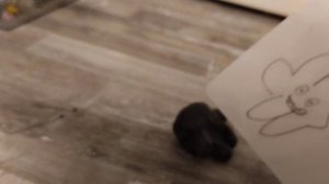 Нулевое (0) видео