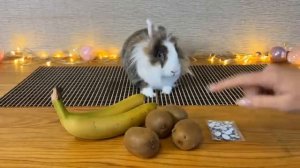 Стали поварами на 24 часа