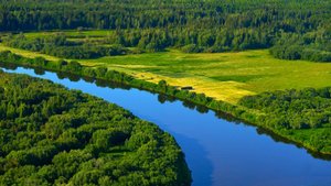 Как зарождалась Югра: от моря до нефтеносного региона