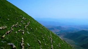 _Армения   моя печаль_ слова Елены Овсянниковой-Вартересьянц, музыка и исполнение Ларисы Фелисион (1