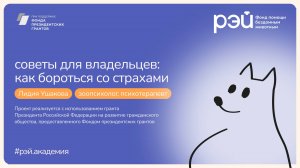 Советы для владельцев: как бороться со страхами при появлении в доме нового питомца