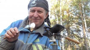 Закольцованная осень или солнечное ПВД из Азии к границе Европы.