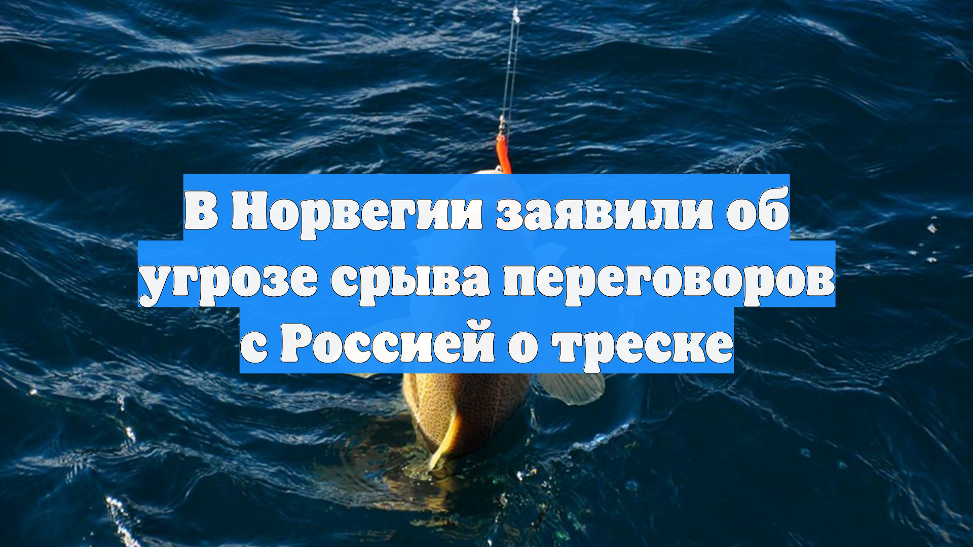 В Норвегии заявили об угрозе срыва переговоров с Россией о треске
