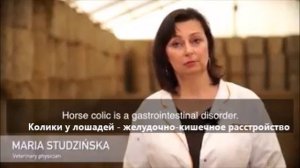 Опыт Польши по применению ЭМ-препаратов для лошадей