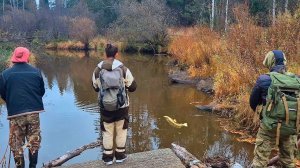 РЫБАЛКА НА СПИННИНГ, УДОЧКУ И ПОДСТАВНЫЕ