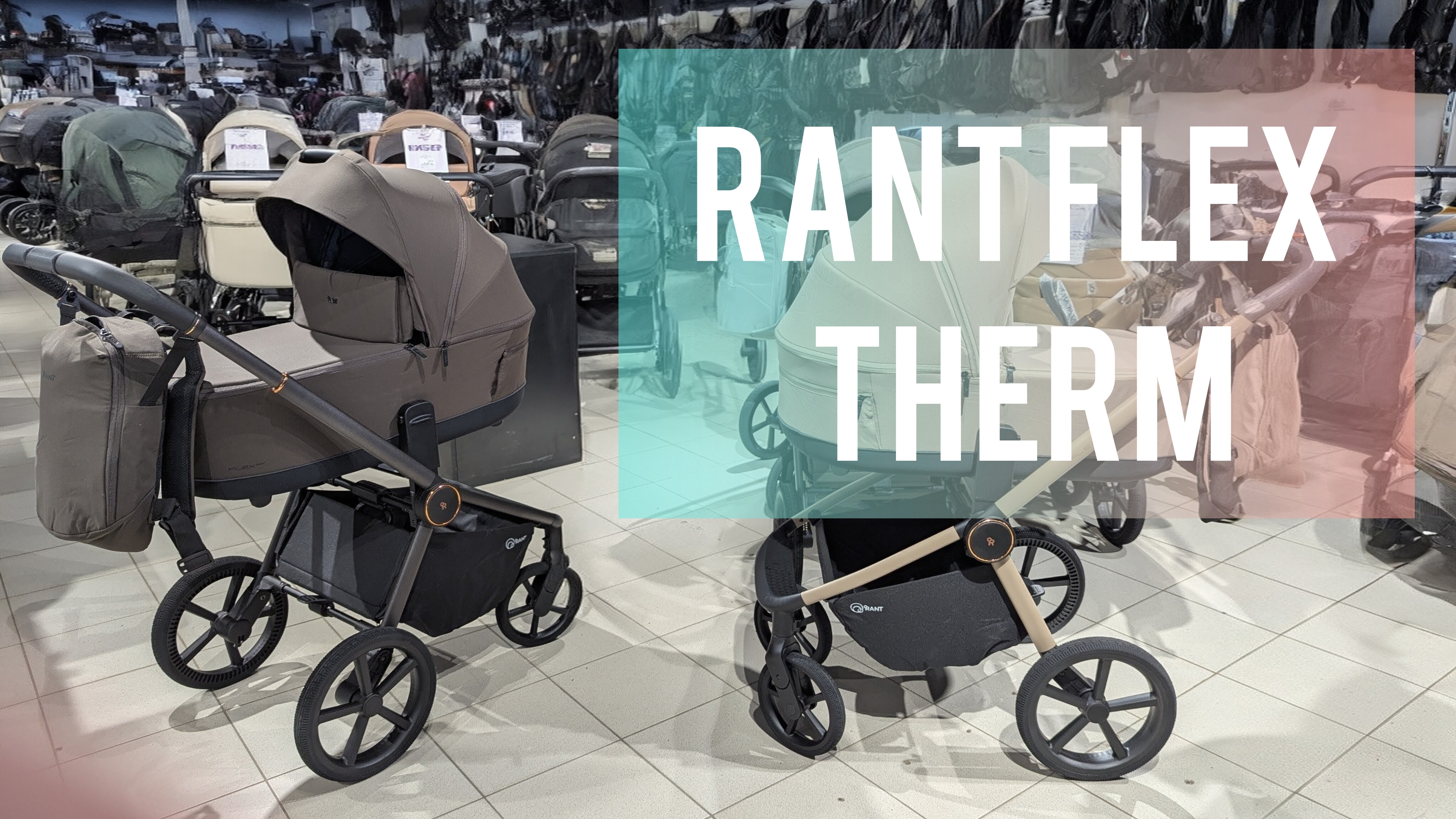 Коляска 2в1 Rant Flex Therm в DKS