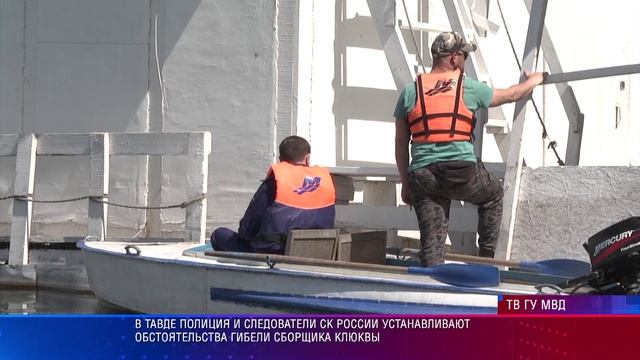 В Тавде полиция и следователи СК России устанавливают обстоятельства гибели сборщика клюквы