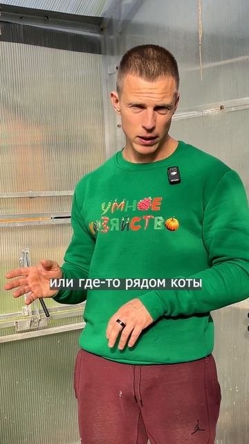 ОРГАНИКА КОТОРАЯ КОРМИТ ГРЯДКУ МЕСЯЦАМИ