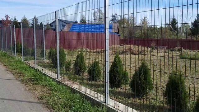 Деревня Льялово, снова лесные тропы.
