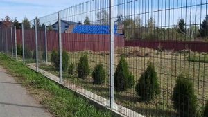 Деревня Льялово, снова лесные тропы.