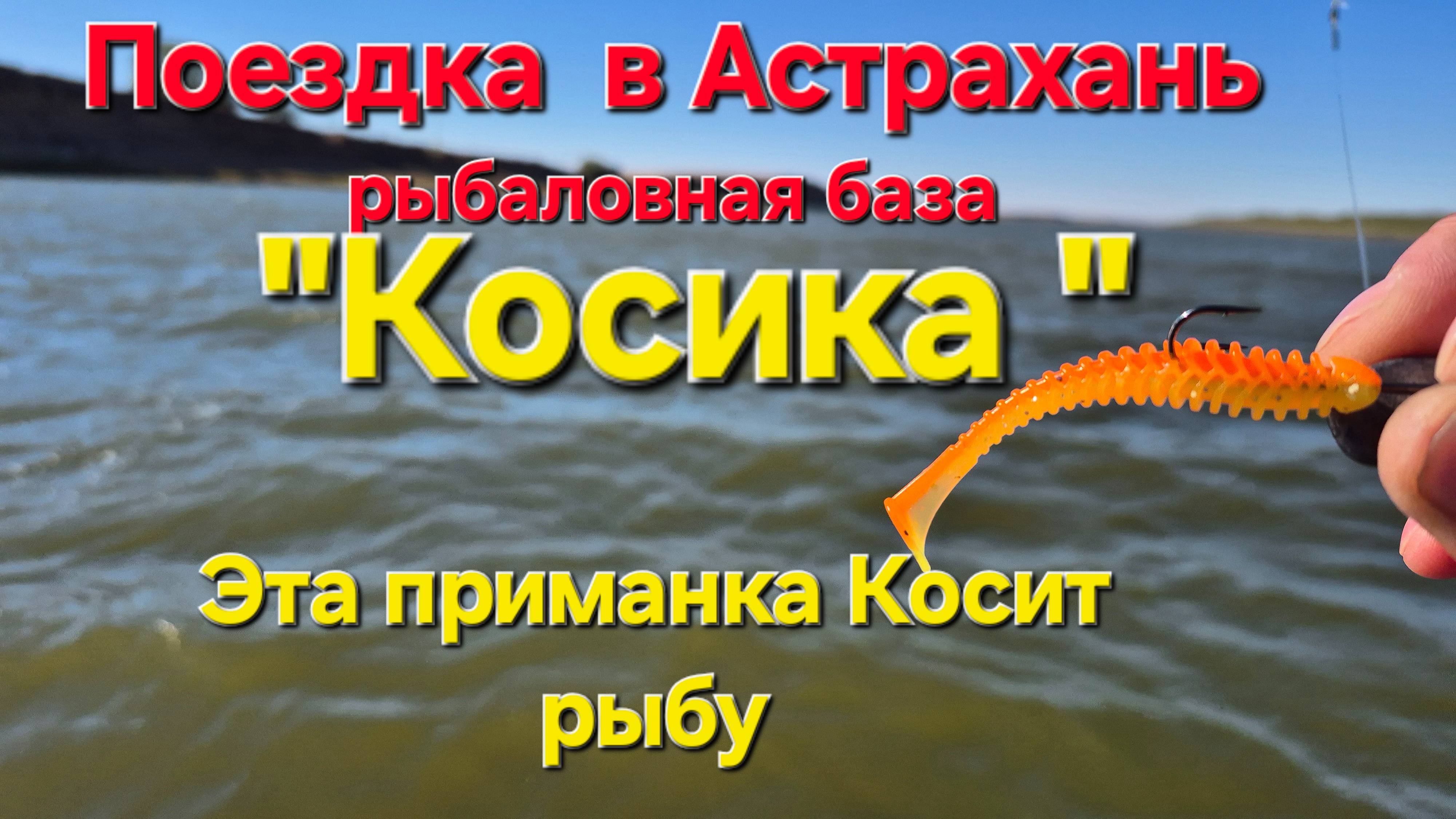 Этот цвет работает всегда! Астрахань осень 2025. Рыбалка на джиг ловля хищника.