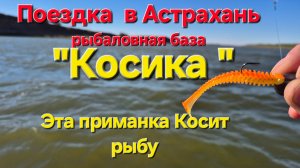 Этот цвет работает всегда! Астрахань осень 2025. Рыбалка на джиг ловля хищника.