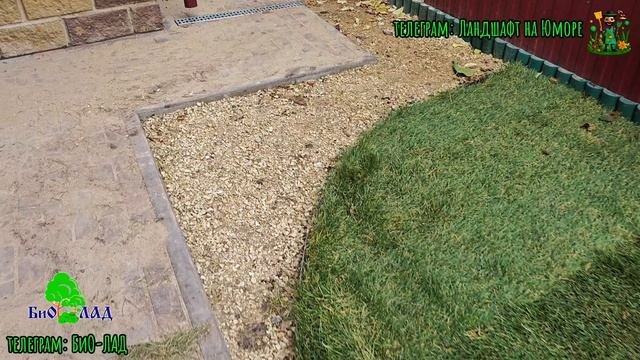 Предпоследний выпуск по этому объекту😎