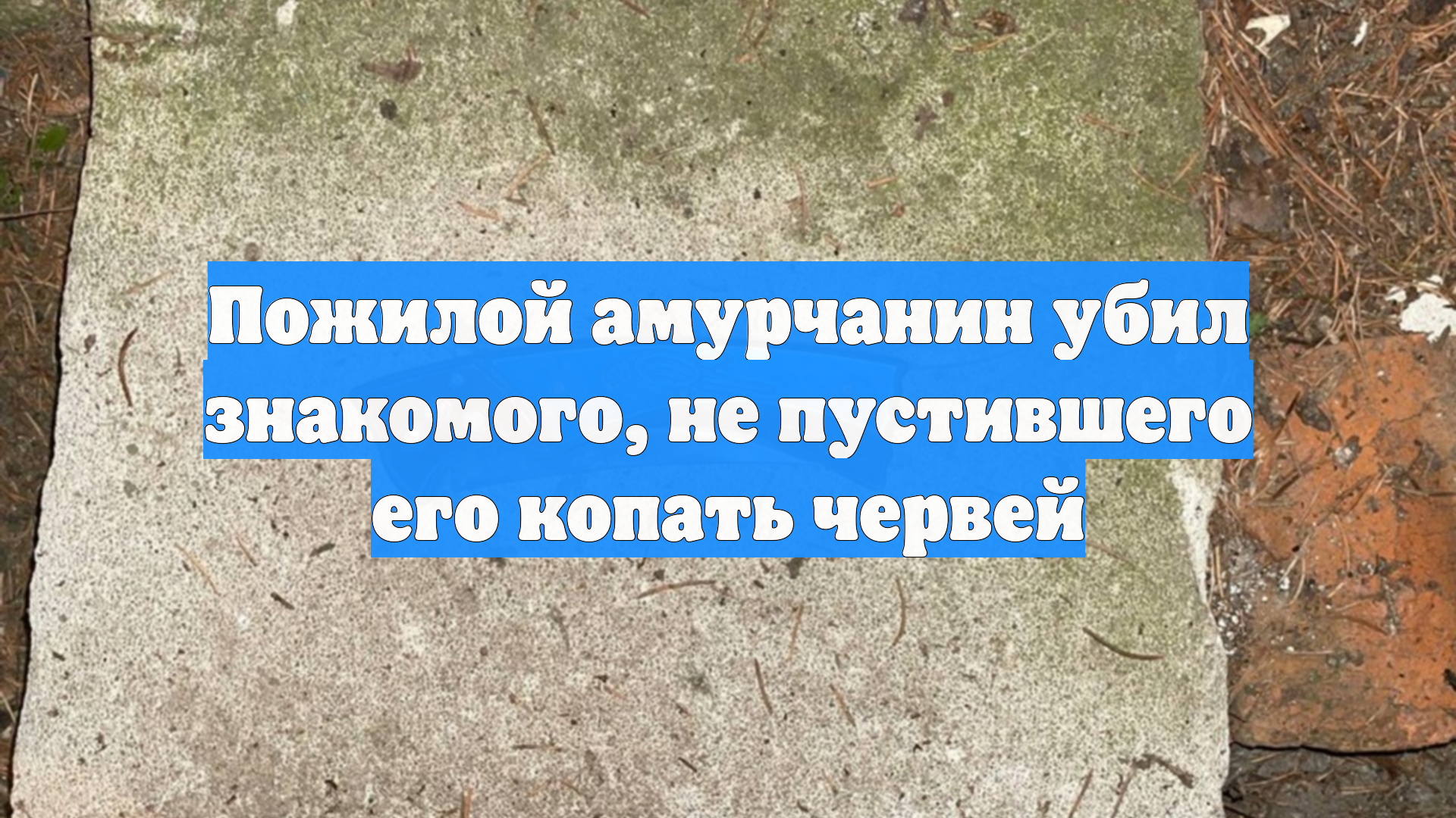 Пожилой амурчанин убил знакомого, не пустившего его копать червей
