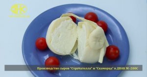 Производство сыра в плавителе ДВАК М-200С( страчателла, буратта, скаморца, моцарелла)