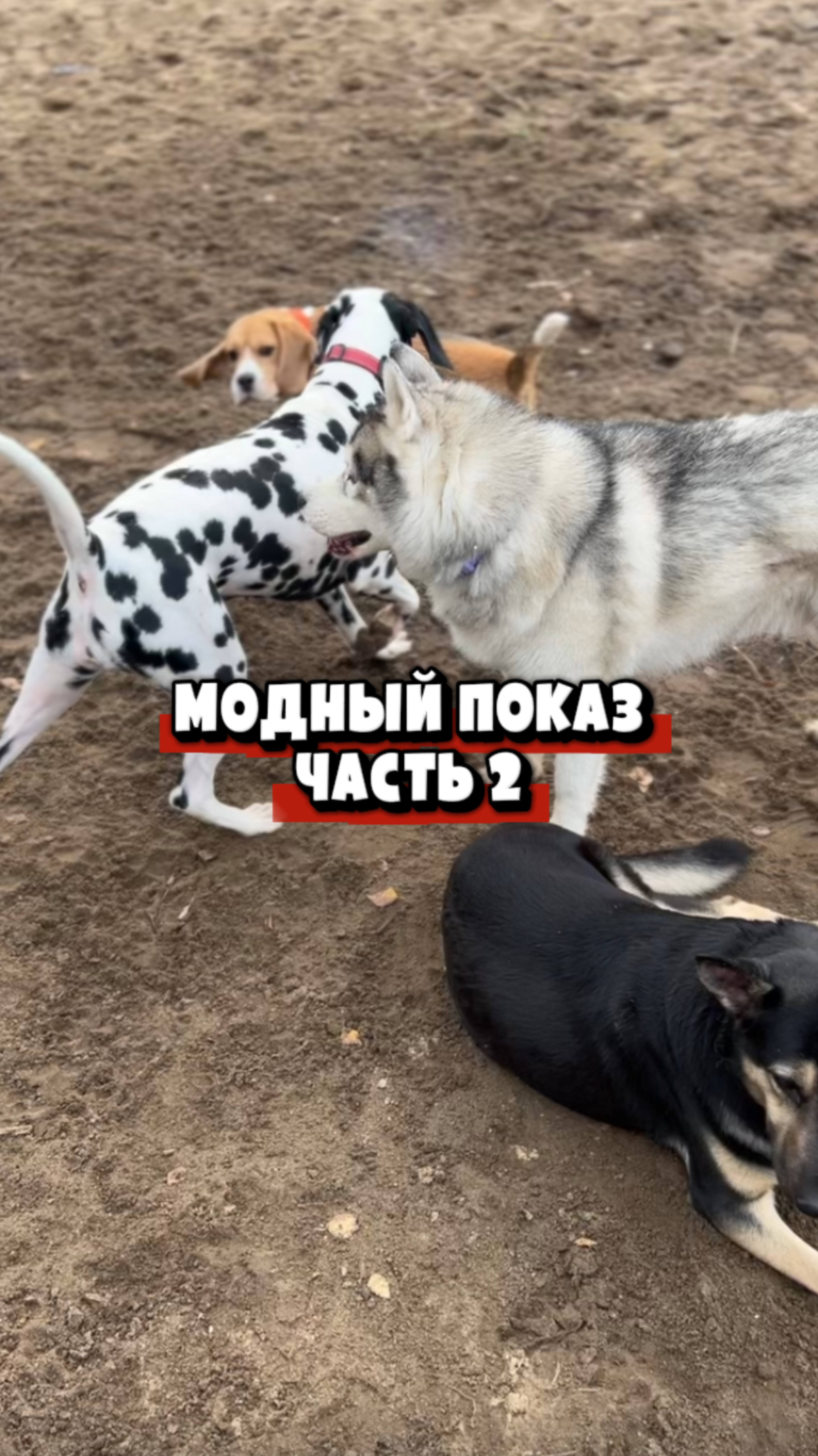 МОДНЫЙ ПОКАЗ ЧАСТЬ 2