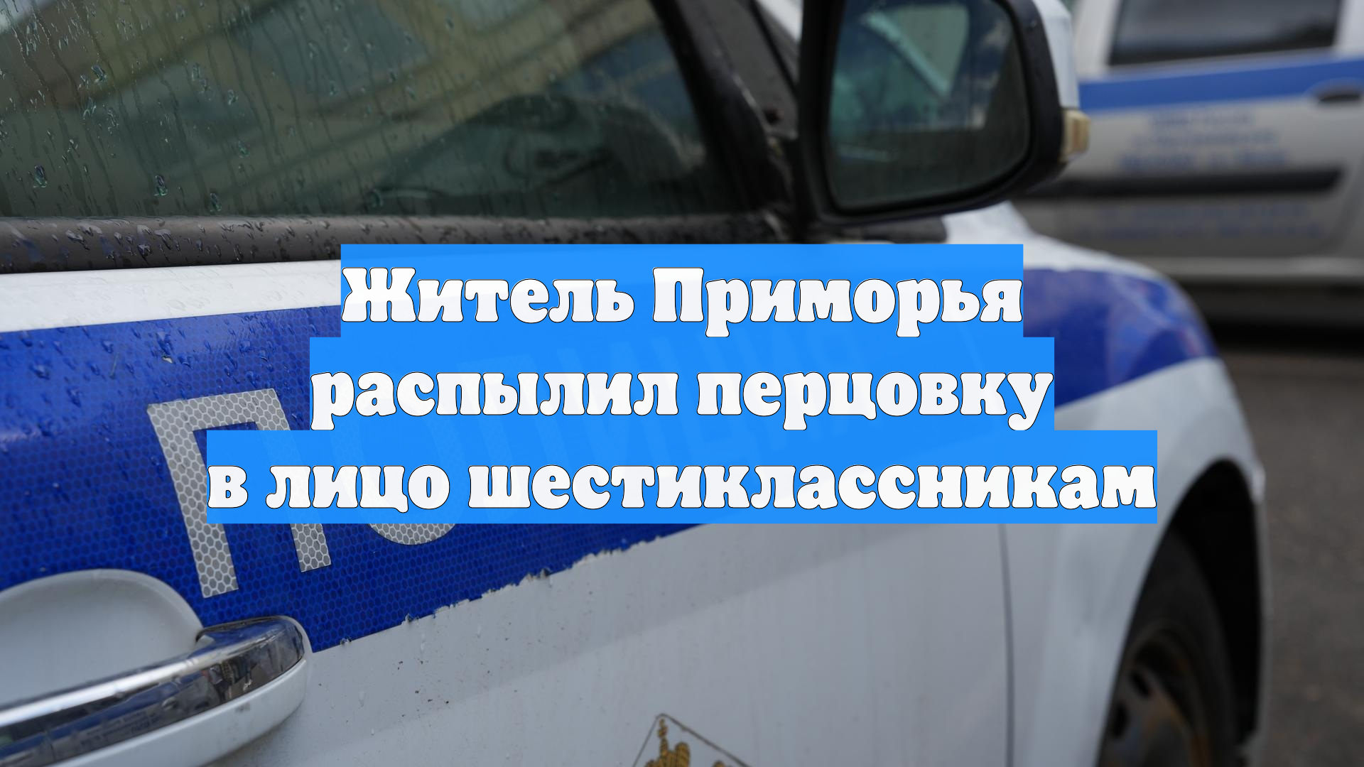 Житель Приморья распылил перцовку в лицо шестиклассникам