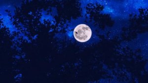 2 Часа Красивой Музыки для Сна и Отдыха. Уснуть за 5 минут