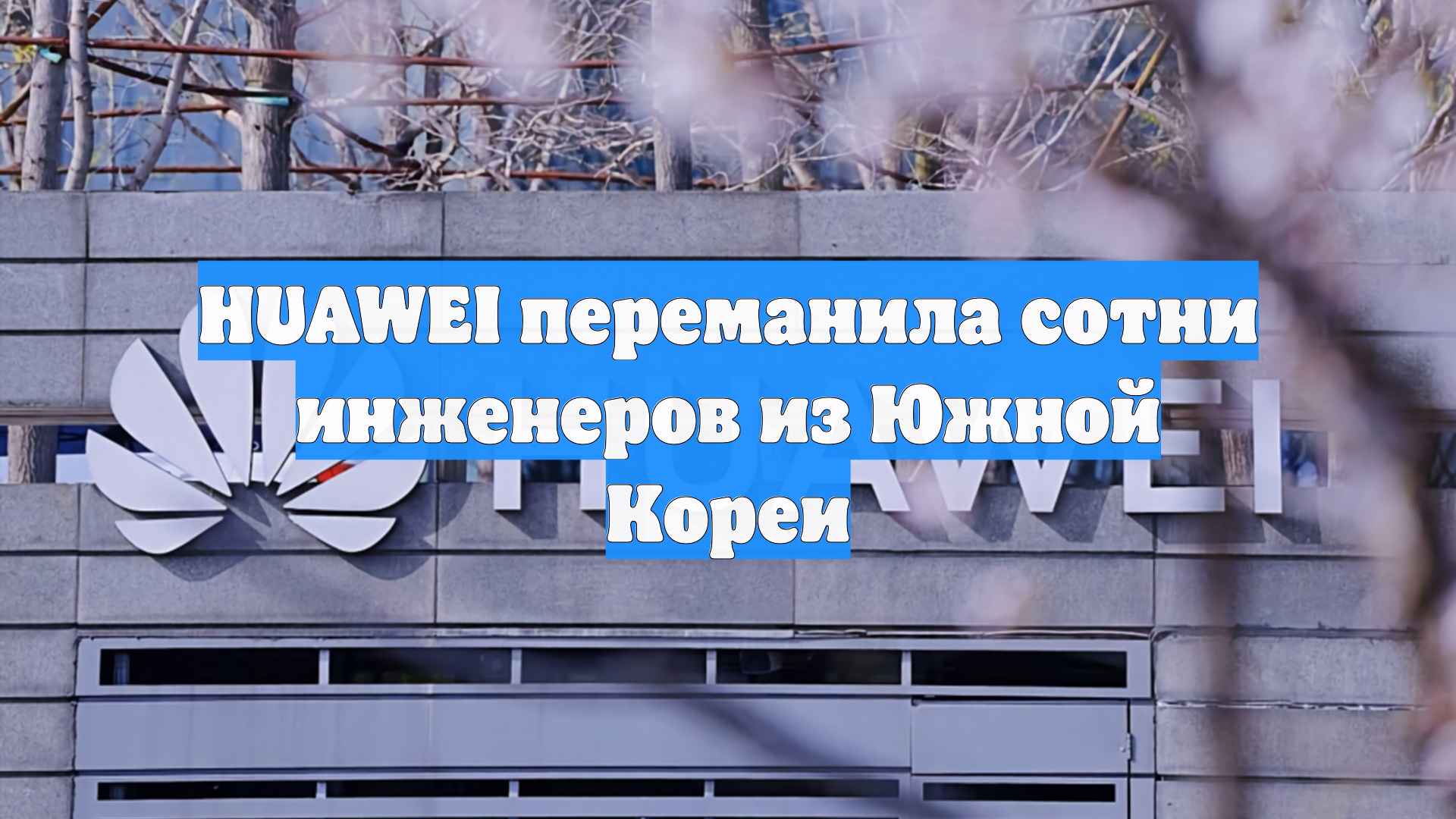 HUAWEI переманила сотни инженеров из Южной Кореи