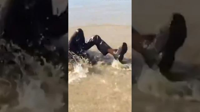 водяные приключения