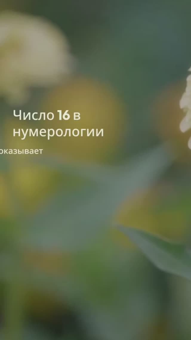 Число 16 в нумерологии