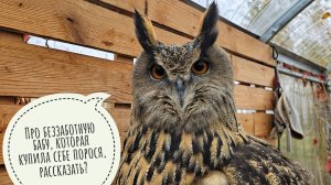 Сове Ёлке включили дождь! И нам тоже. Как же всё сильно зависит от погоды в деревне