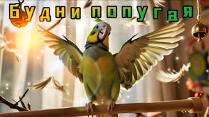 Утро в перьях: Просыпаемся с кореллой