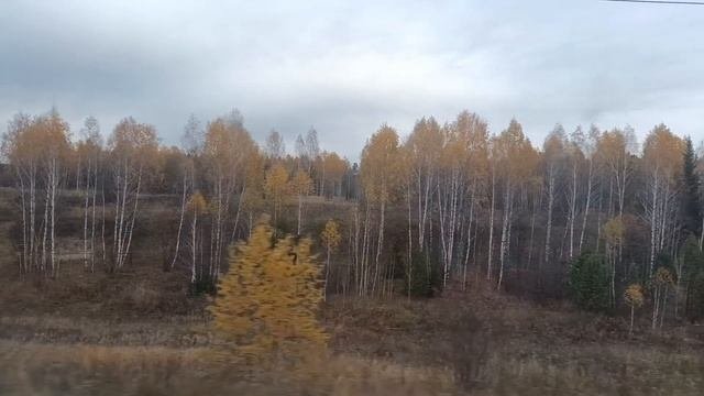 Кто куда, а я на север!!!