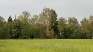 ЗУ :705 д. Мостки