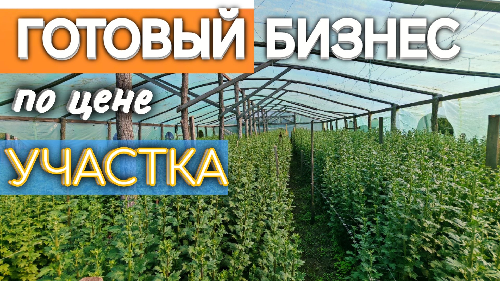 ЭТОТ УЧАСТОК - МЕЧТА ЛЮБОГО БИЗНЕСМЕНА!