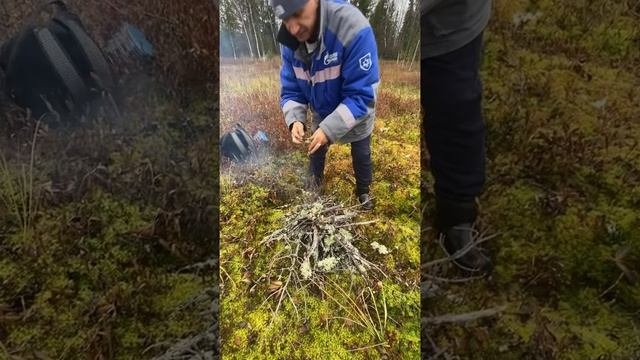 На болото за клюквой